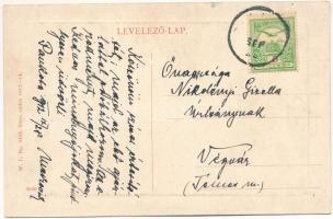 1912 Pankota, Pancota; látkép. W.L. Bp. 5425. / general view (fl)