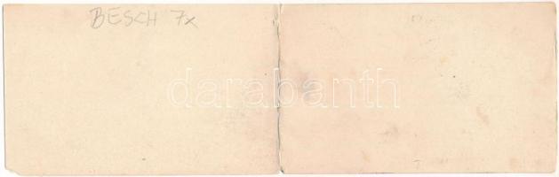 Lugos, Lugoj; Román-Lugos látképe, Rosenthal Adolf üzlete. Weisz és Sziklai kiadása. 2-részes kihajt...