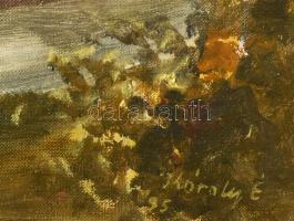 Károly Éva ( - ): Nyári táj patakkal. Olaj, vászon, jjl.: Károly É. 40x60 cm, keretben, kis sérüléss...