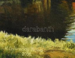 H. Czékmány Ilona: Erdei tisztás. Olaj, farost, jbl: H. Czékmány Ilona 2001. 52x73 cm, keretben, jó ...