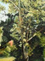 H. Czékmány Ilona: Erdei tisztás. Olaj, farost, jbl: H. Czékmány Ilona 2001. 52x73 cm, keretben, jó ...