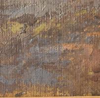 Duray Tibor (1912 - 1988): Baromfiudvar. Olaj, vászon, jbl.: Duray T. 955. 28x37 cm, keretben, üvege...