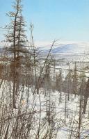 Jan Kozák: A tajgán vadásztam. Ford.: Hubik István. Bp., 1977, Gondolat. Első magyar kiadás. Fekete-...