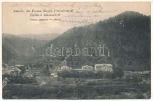 1915 Sósmező, Poiana Sarata; Vedere generala / látkép / general view (fl)