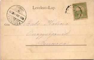 1905 Detta, Ghedu, Deta; látkép keletről. Csokány kiadása / general view (fl)