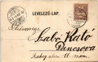 1900 Oravicabánya, Oravica, Oravicza, Oravita; látkép. J. G. Tierann kiadása / general view (EK)