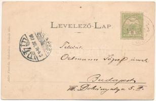 1907 Málnásfürdő, Baile Malnas; fürdő, nyaralók. Adler fényirda / spa, villas (fl)