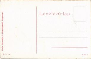 Nagyszeben, Hermannstadt, Sibiu; Római császár szálloda, Ludwig Ferenc & Co. üzlete. W.L. 54. Bu...