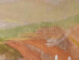 Szentiványi Lajos (1909-1973): Balaton. Olaj, vászon, jbl.: Szentiványi 1953. 60x80 cm, keretben, jó...