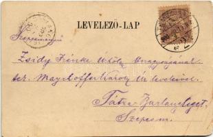 1900 Temesvár, Timisoara; Gyárváros, Andrássy út, villamos / Vorstadt Fabrik, Andrássy-Strasse / str...