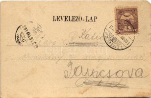 1900 Temesvár, Timisoara; Gyárváros, Jókai Mór utca, zsinagóga / Vorstadt Fabrik, Jokai Morgasse / s...