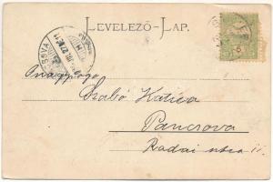 1905 Stájerlak, Steierlak, Stájerlakanina, Steierdorf, Anina; Ploppa barlang melletti részlet. Holls...