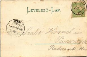 1905 Stájerlak, Steierlak, Stájerlakanina, Steierdorf, Anina; nyaraló. Hollschütz F. kiadása / villa...