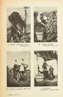 Bartucz Lajos (szerk.): A magyar nép. A művelődés könyvtára 9. köt. Bp., 1943, Singer és Wolfner, 34...