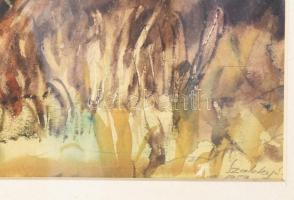 Szalóky Sándor (1921-1978): Őszi táj. Akvarell, papír, jjl.: Szalóky S. -1959. 29x46,5 cm, keretben,...