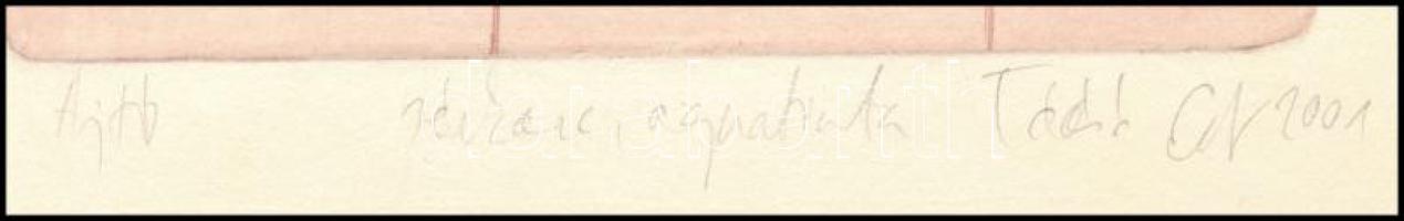 Tóásó Edit (-): Ajtó, 2001. Rézkarc, aquatinta, papír, jelzett, 19x14 cm