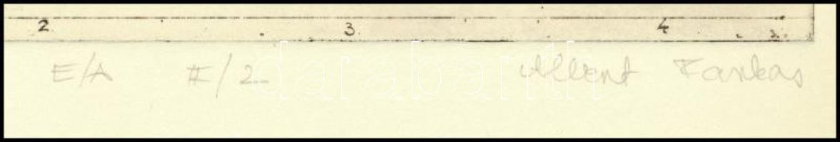 Albert Farkas (-): Naplopó, 2001. Rézkarc, papír, jelzett, művészpéldány E/A II/2 számozással. 5x20,...