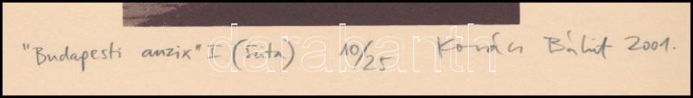 Kovács Bálint (1969-): Budapesti anzix I. Szitanyomat, papír, jelzett, számozott: 10/25, 15x10 cm