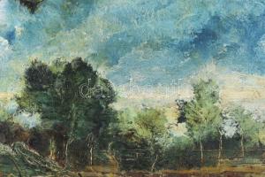 Buzás (?) jelzéssel: Táj. Olaj, vászon. 55×68 cm. Fakeretben
