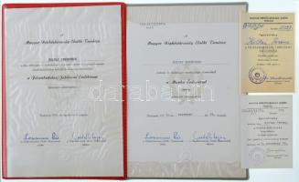 1970. "Felszabadulási Jubileumi Emlékérem" aranyozott, zománcozott bronz kitüntetés mellsz...