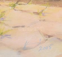 Harsányi Zsuzsanna: Utcarészlet. Pasztell, papír, jjl: Harsányi 2005 j. hátoldalon. 49x32 cm, keretb...