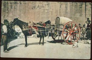 Maltese folkwear with watering cart (small tear)