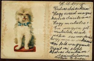 1899 Kutya litho, 1899 Dog litho