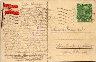 1915 SMS Panther az Osztrák-Magyar Haditengerészet Panther-osztályú torpedócirkálója / K.u.K. Kriegs...