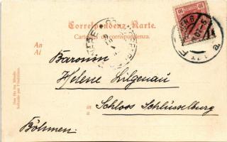 ~1901 SMS Leopard, K.u.k. Kriegsmarine