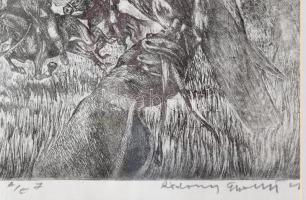 Rádóczy Gyarmathy Gábor (1943-): Solymászat III. Rézkarc, papír, Jjl.: Rádóczy Gyarmathy G. A/E. 33x...