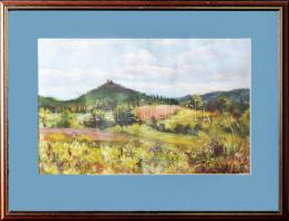 H. Molnár Magda (1935-): Szent György hegy alján. Pasztell, velúr papír, jjl.: H. Molnár Magda. 31x5...