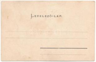 Vajdahunyad, Vajda-Hunyad, Hunedoara; vár / castle