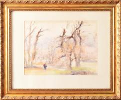 Diósy Antal (1895-1977): Debrecen. Akvarell, papír, jjl.: Diósy Antal - Debrecen. 27x36,5 cm, keretb...