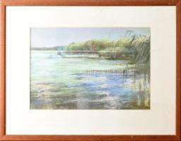 Harsányi Zsuzsanna (1962-): Balatoni nádas. pasztell, papír, jjl: Harsányi 2007. 31,5x49 cm, keretbe...