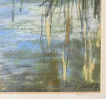 Harsányi Zsuzsanna (1962-): Balatoni nádas. pasztell, papír, jjl: Harsányi 2007. 31,5x49 cm, keretbe...