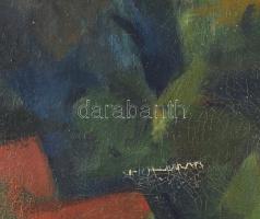 Sikuta Gusztáv (1919-1985): Dunakanyar. Olaj, vászon, jbl.: Sikuta, képszerte festék pergés. 50x60 c...