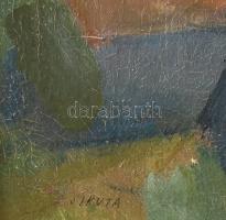 Sikuta Gusztáv (1919-1985): Dunakanyar. Olaj, vászon, jbl.: Sikuta, képszerte festék pergés. 50x60 c...