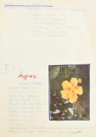 1981-1983 Brigádnapló, aranykoszorús Bolyai János szocialista brigád, benne rengeteg kézzel írt és g...