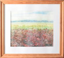 Vincze Angéla: Pipacsos. Akvarell, papír, applikátum, jjl: Vincze Angéla. 33,5x41 cm, keretben, jó á...