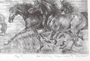 Rádóczy Gyarmathy Gábor (1943-): Itatás. Rézkarc, papír, Jjl.: Rádóczy Gyarmathy G. A/E. 32,5x43 cm,...