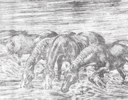 Rádóczy Gyarmathy Gábor (1943-): Itatás. Rézkarc, papír, Jjl.: Rádóczy Gyarmathy G. A/E. 32,5x43 cm,...