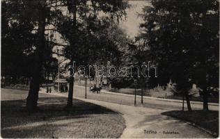 1911 Torino, Turin; Valentino / park, street, tram (EK)