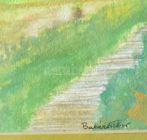 Balázs Tibor (1959-): Gyulai híd. Akvarell, papír, jjl: Balázsi Tibor, jbl: 1992. 40x50 cm, keretben...