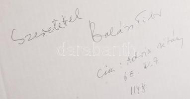 Balázs Tibor (1959-): Gyulai híd. Akvarell, papír, jjl: Balázsi Tibor, jbl: 1992. 40x50 cm, keretben...