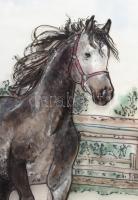 Királyné Török Enikő: Poroszkáló. üvegfesték, üveg, 42x32 cm, keretben, keret jó állapotú