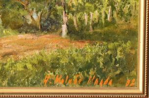 H. Molnár Magda (1935-): Szent György hegy alján. Olaj, farost, jjl.: H. Molnár Magda 02. 40x50 cm, ...