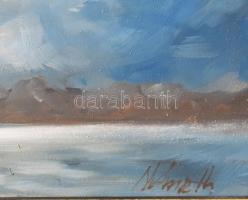 Ziegler Németh Ferenc (1971-): Alkonyi fények. Olaj, farost, jjl: Németh. 21x41 cm, keretben, jó áll...