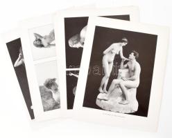 cca 1920-1930 Művészi aktok, 7 db fekete-fehér nyomat, helyenként kopásokkal, lapméret: 33x26 cm