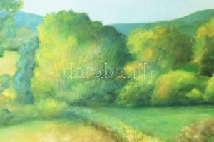 Csóka Béla (1926-2005): Erdő. olaj, vászon, jbl.: Csóka '09. 50x60,5 cm, keretben, kis sérüléss...