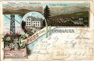 1901 Hochblauen, Prächtiges Alpenpanorama, Der Blauen mit Badenweiler, Aussichtsturm, Hotel Pension Hochblauen. Art Nouveau, floral, litho (EB)